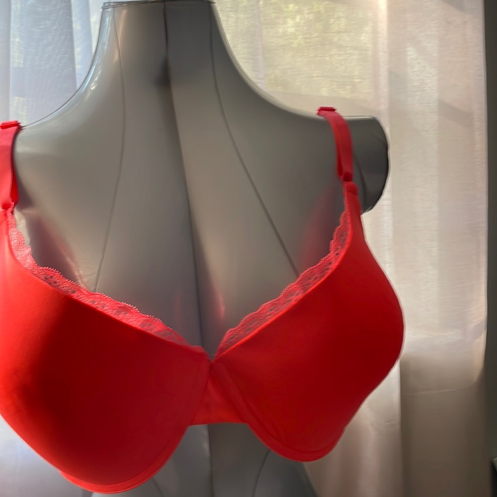 ❤️ Fruit of the Loom Sex Padded Bras